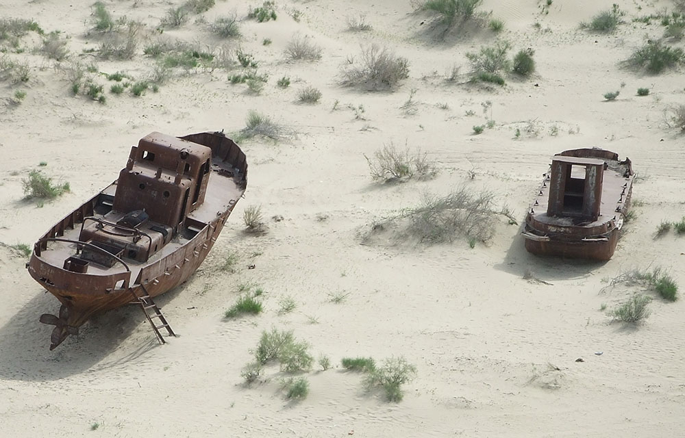 Environmental Impact Assessment